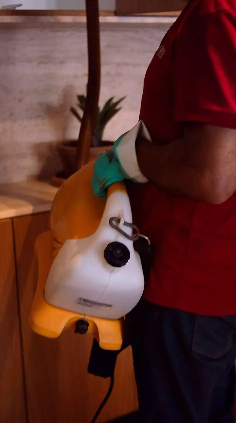 Dedetização de Carrapatos RJ