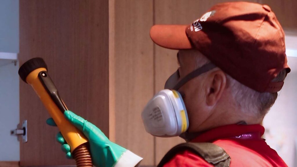 Dedetização de aranhas rj